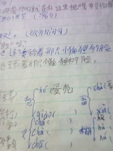 开壳的壳怎么组词