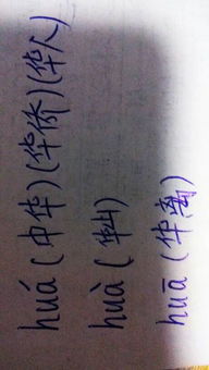 华怎么组词语 华怎么组词语