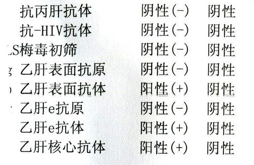 肝组词