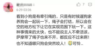 天使的屎可以怎么组词