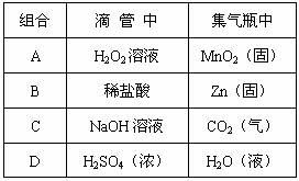 盛装的装怎么组词 盛装的装怎么组词