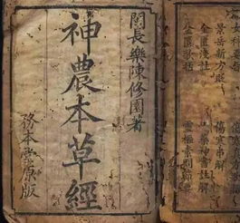 古今的谷怎么组词