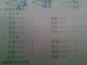 表的意思及组词怎么写