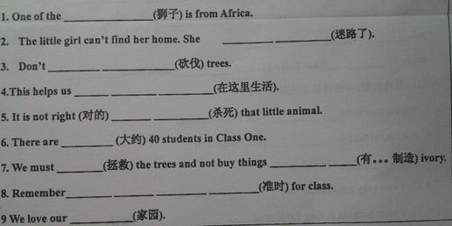 填怎么组词组