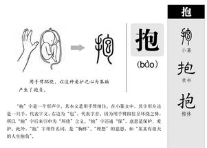 抱着的怎么组词