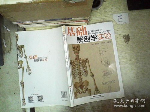 孔子的孔龙怎么组词