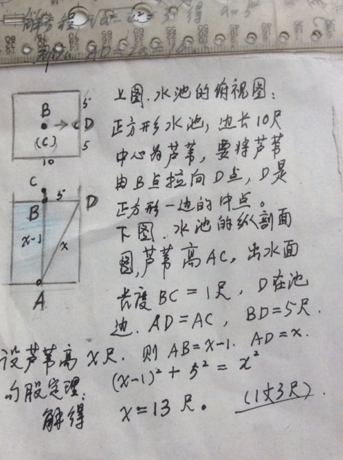 弱怎么组词年幼的意思