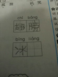 冰这个字怎么样组词