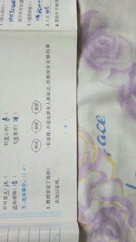 爪子抓怎么组词