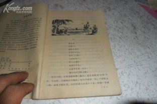 化雪的化怎么组词 化雪的化怎么组词