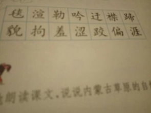 两人种怎么组词 两人种怎么组词