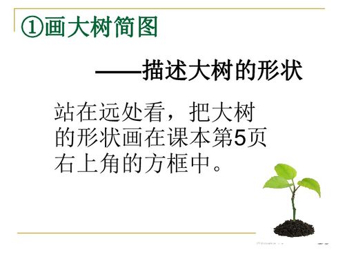 树木的树柱怎么组词呀 树木的树柱怎么组词呀