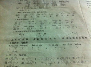 笼的拼音偏旁组词怎么写 笼的拼音偏旁组词怎么写