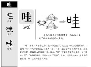 尿怎么组词u 尿怎么组词u