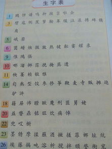 E组怎么组词 E组怎么组词