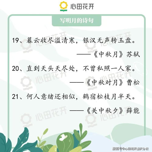 每天都美的组词怎么写