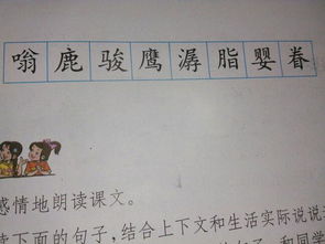 懦夫组词和拼音怎么写