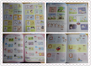 除了图怎么组词