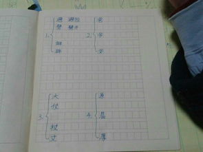 杖怎么组词语 杖怎么组词语