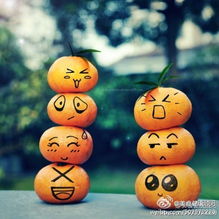 什怎么组词屎 什怎么组词屎