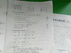 序怎么读拼音组词