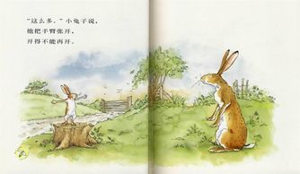 小兔小兔到怎么组词