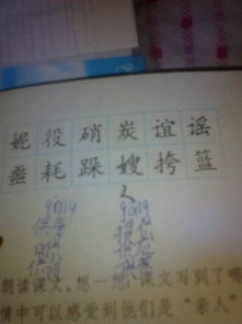 第五字怎么组词 第五字怎么组词