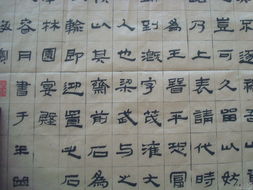 鸡蛋的蛋怎么写组词