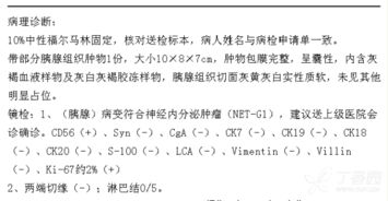 左腹怎么组词 左腹怎么组词