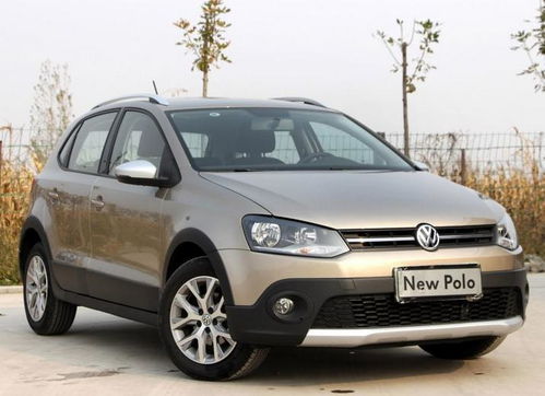 polo的破怎么组词