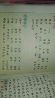 干跟六怎么组词语 干跟六怎么组词语