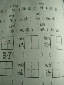 装载怎么组词