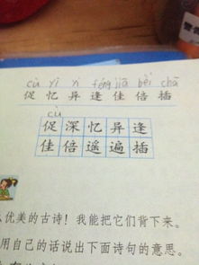 面怎么组词 面怎么组词