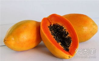 木瓜目怎么组词