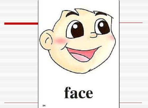 脸的英语怎么组词啊