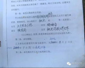 村委的委怎么组词