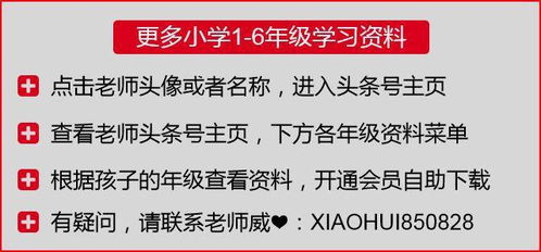 仅在前面怎么组词