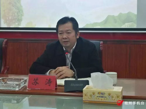 苏涛的涛怎么组词