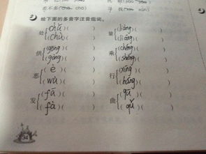 歧组词