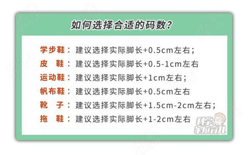 协调到鞋怎么组词