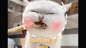 踩咪踩踩怎么组词