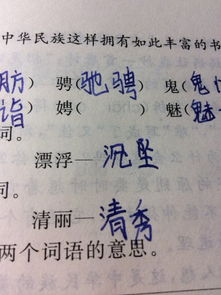 知识知怎么组词