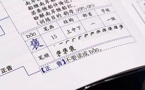 知识知怎么组词