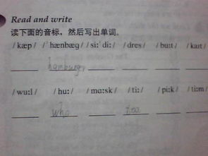 怎么给句子组词