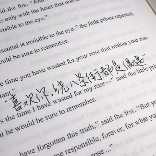 语文书的页怎么组词