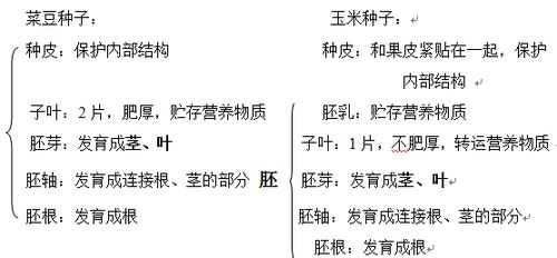 没有玉米有怎么组词 没有玉米有怎么组词