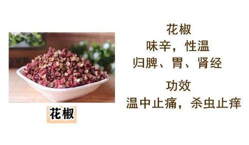 吃药的药还可以怎么组词 吃药的药还可以怎么组词