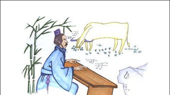 恍然大悟的恍组词 恍然大悟的恍组词