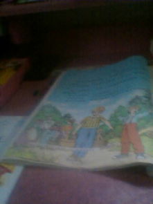 甸怎么组词的 甸怎么组词的