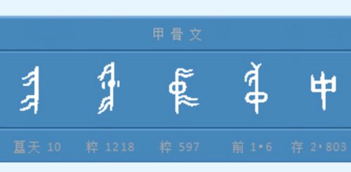 总账的种种怎么组词